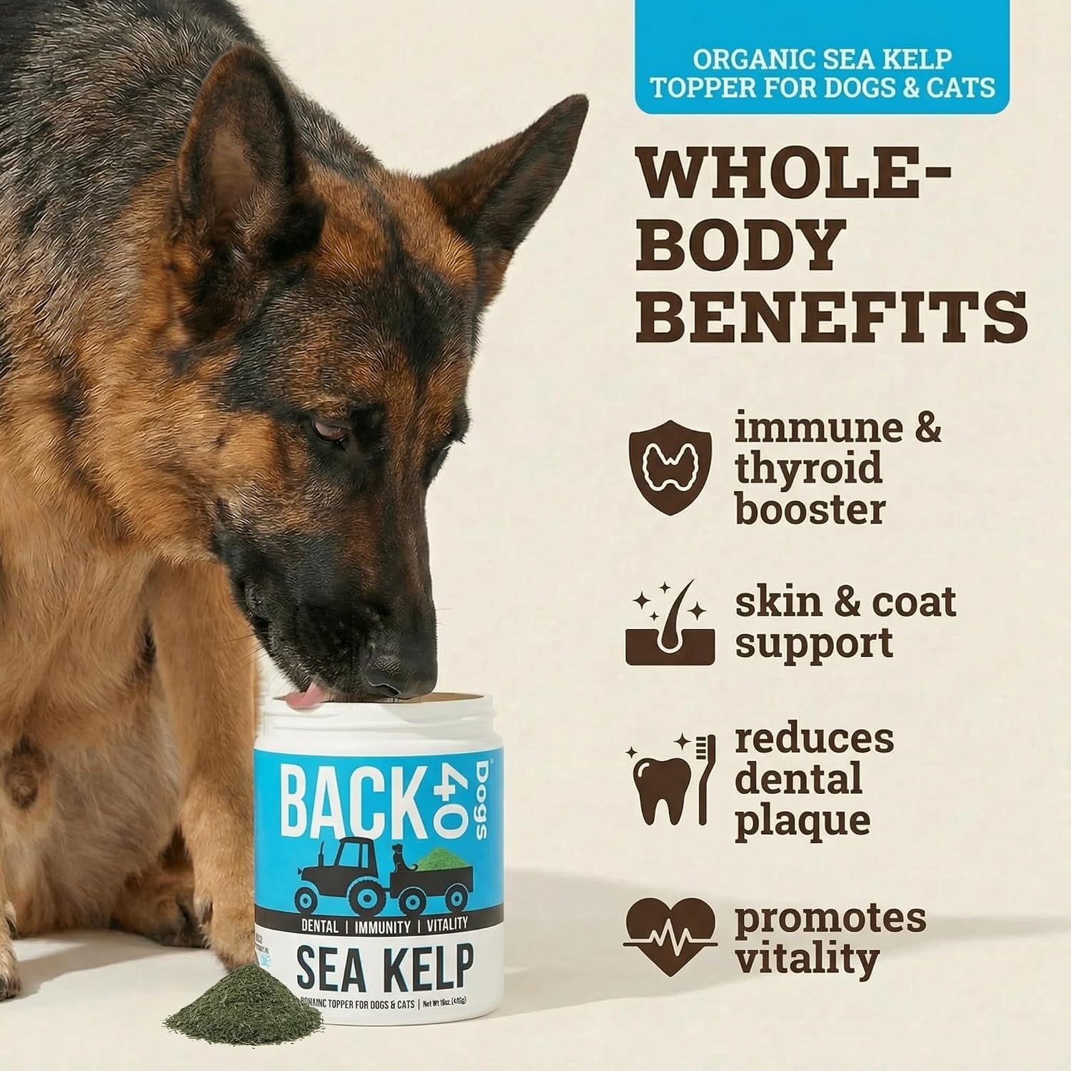 Organic Kelp Powder for Dogs - Alga Kelp Orgánica en Polvo para Perros y Gatos