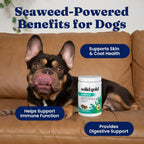 Solid Gold SeaMeal Multivitamínico Masticable para Perros y Gatos - 120 uds