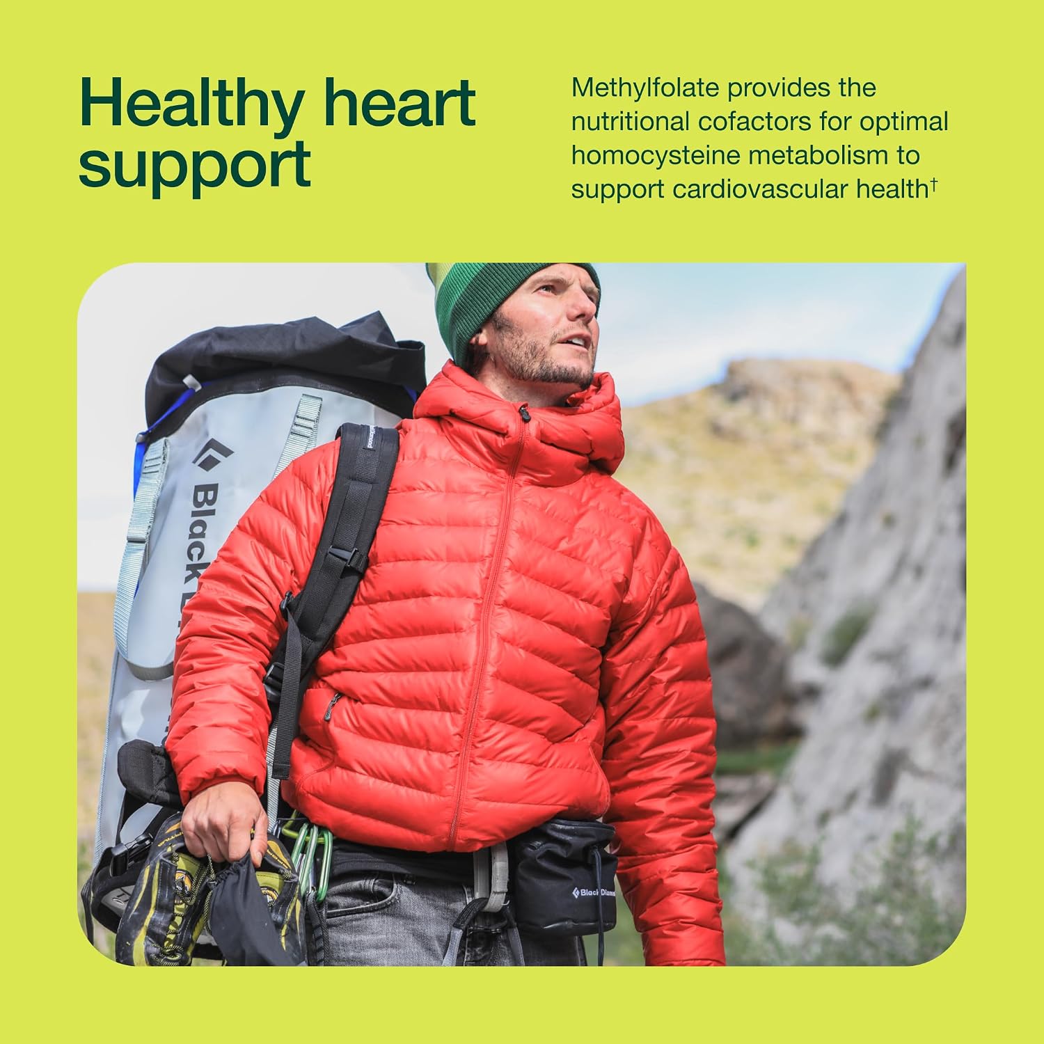 Fresh Nutrition L-Metilfolato 7,5 mg – 60 Cápsulas Veganas – Forma Activa de Ácido Fólico