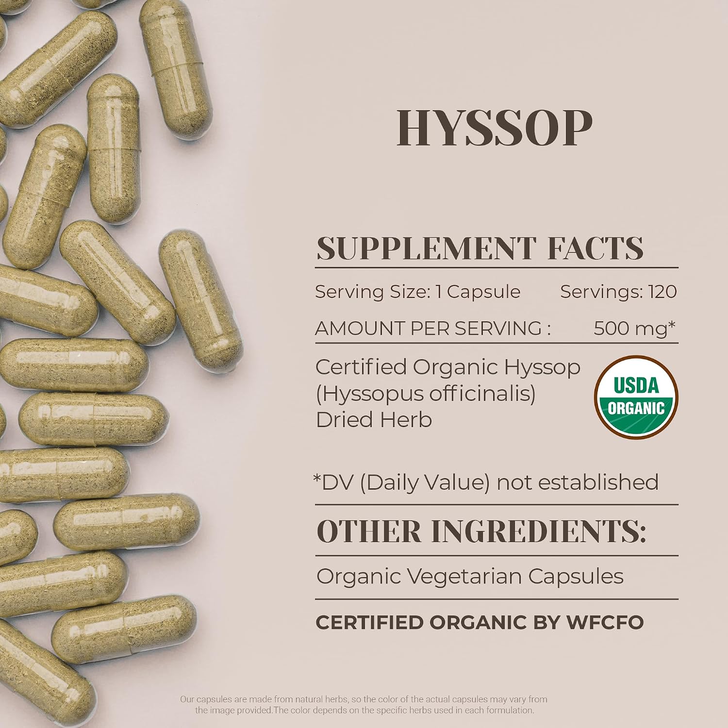 Garden Organics Hyssop 120 Cápsulas | Suplemento Herbal de Alta Potencia con Hisopo Orgánico (Hyssopus officinalis)