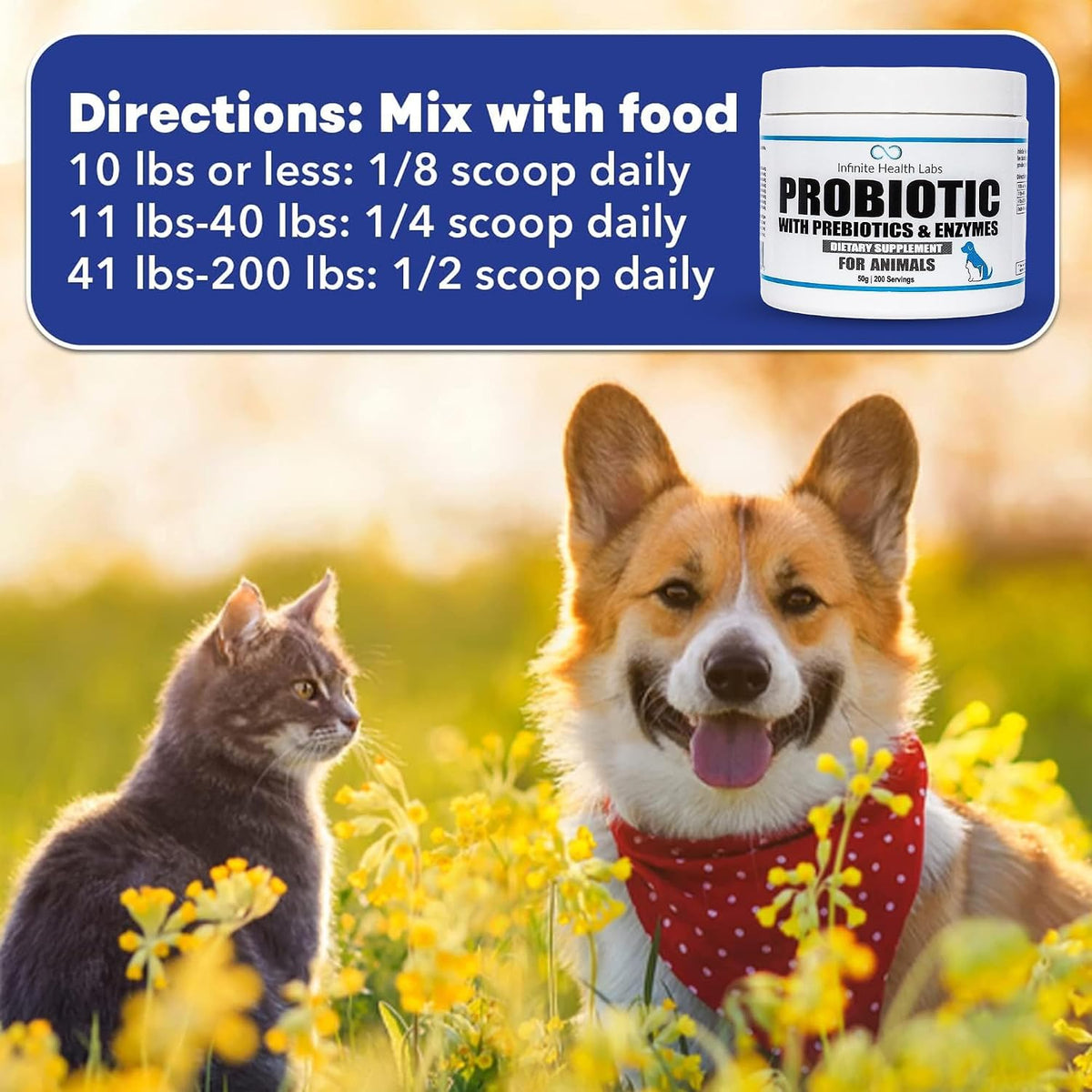 Probióticos para perros y gatos - Fórmula veterinaria, polvo con prebióticos y enzimas para salud digestiva e inmunidad - – Image 6