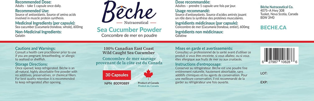 Bêche 100% Pepino de Mar en Polvo - 30 Cápsulas