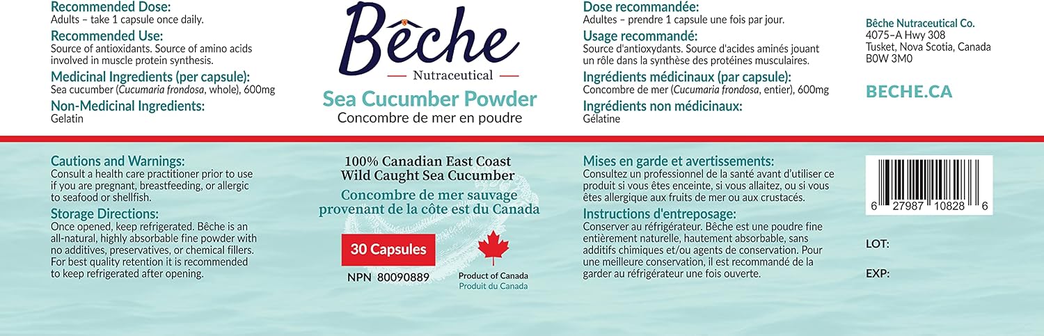 Bêche 100% Pepino de Mar en Polvo - 30 Cápsulas