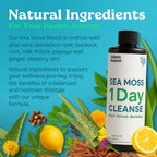 Atlantic Naturals 1 Day Colon Cleanse - Bebida Detox de Algas Marinas con Jengibre y Aloe Vera, Sabor Limón, 237 ml