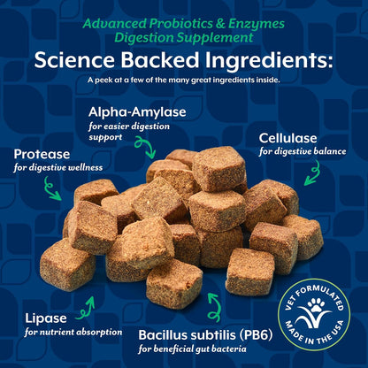 NaturVet Advanced Probiotics & Enzymes PB6 - – Bacillus subtilis: Cepa probiótica que favorece la flora intestinal. – Image 5