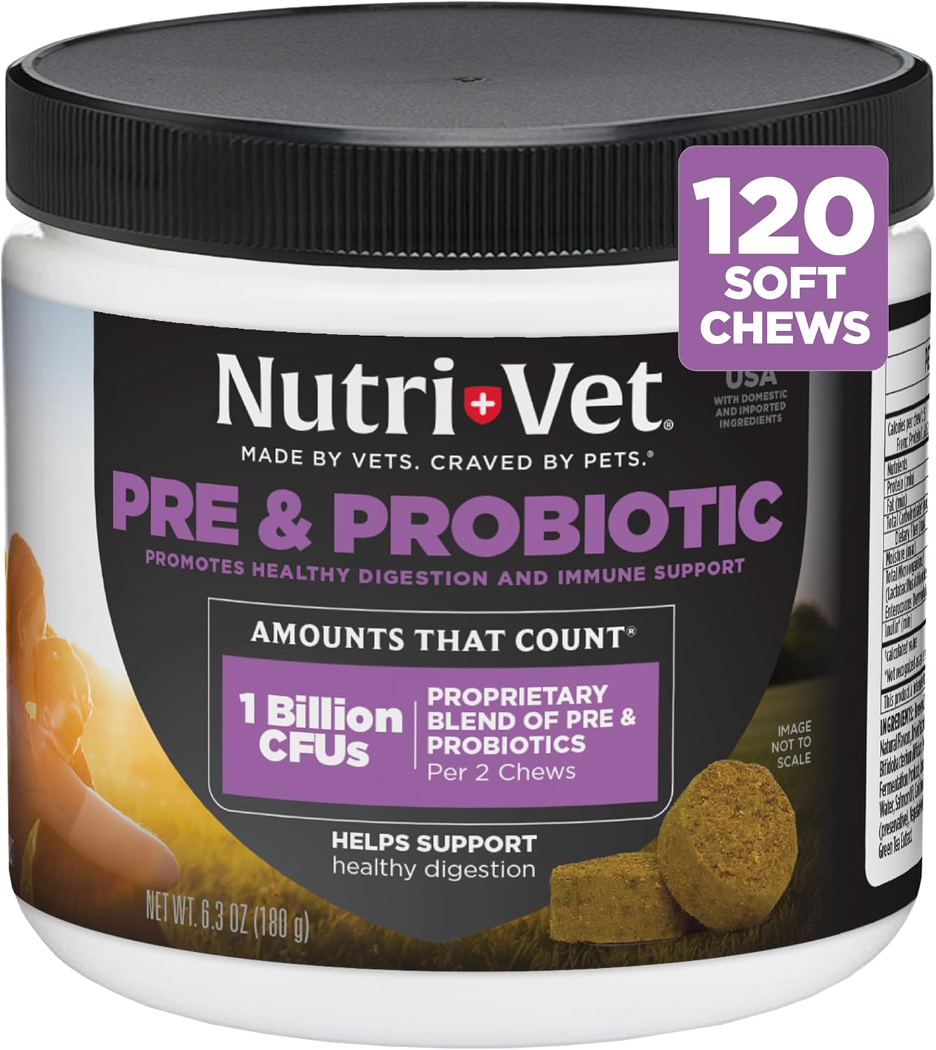 Nutri-Vet Pre & Probiotics for Dogs, 120 Chews, Liver & Cheese Flavor