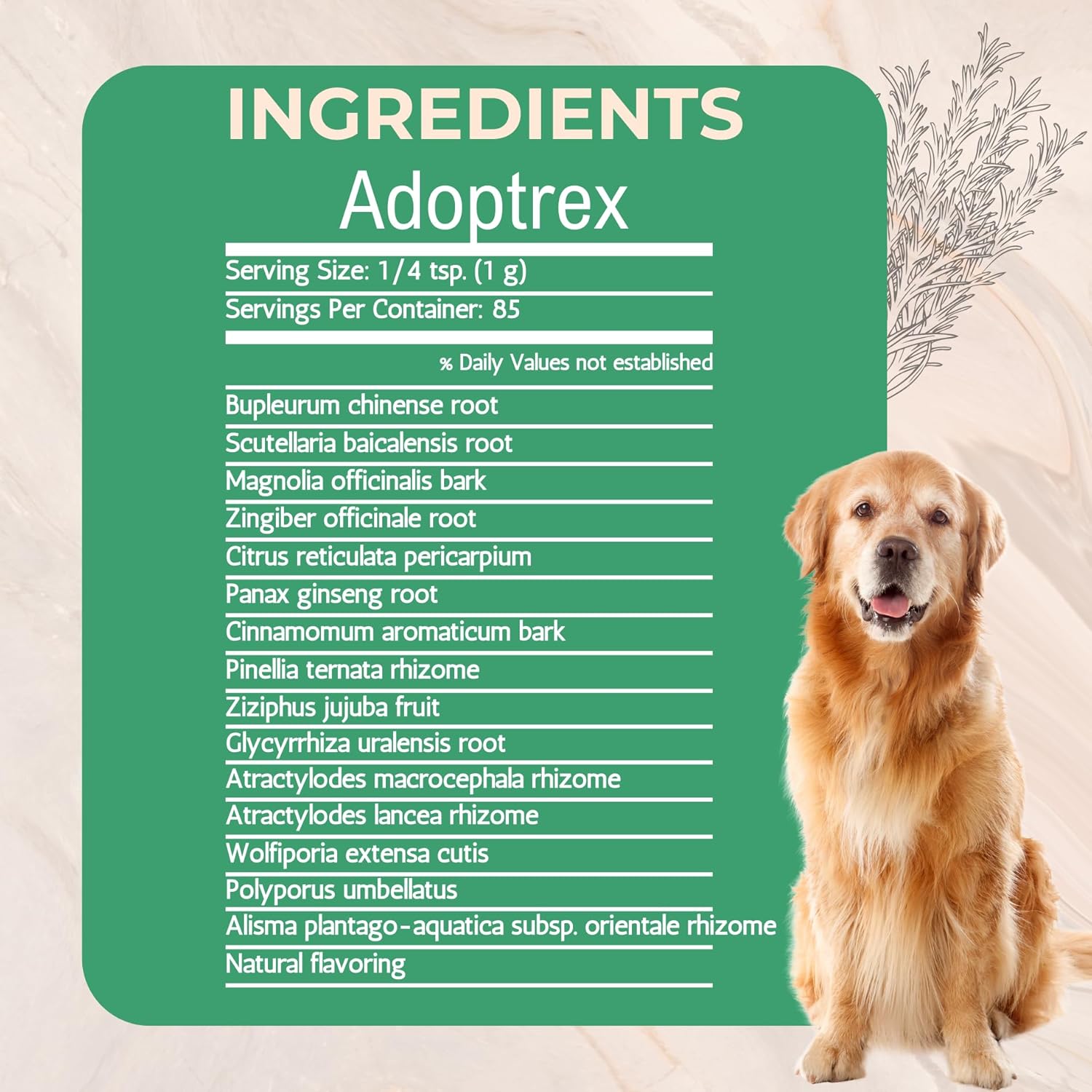 Adoptrex - Suplemento Digestivo y Pancreático para Perros, Polvo de Magnolia y Jengibre (85 g)