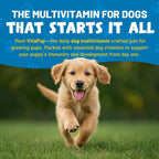 Guardian’s Choice Multivitamínicos para Cachorros - 90 Masticables Suaves Sabor Pollo
