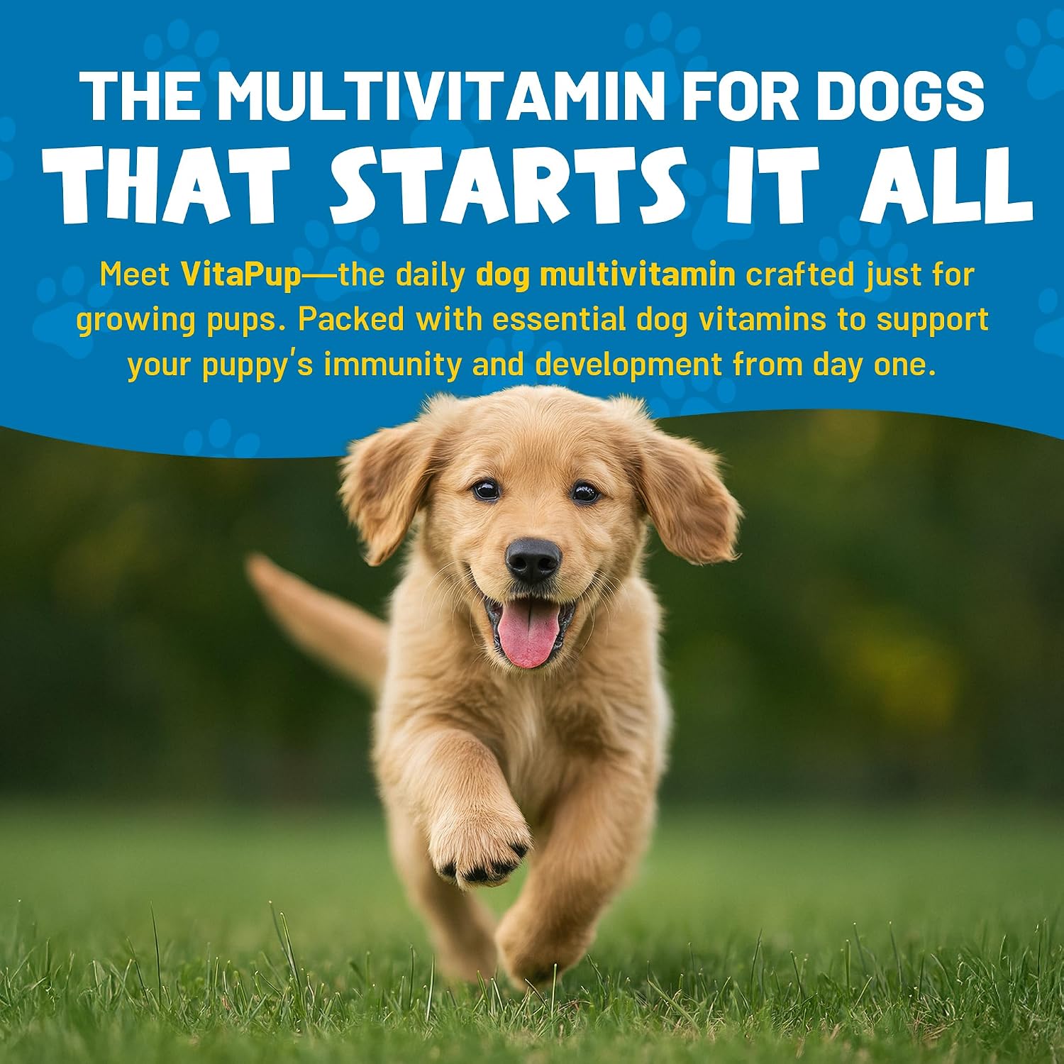Guardian’s Choice Multivitamínicos para Cachorros - 90 Masticables Suaves Sabor Pollo