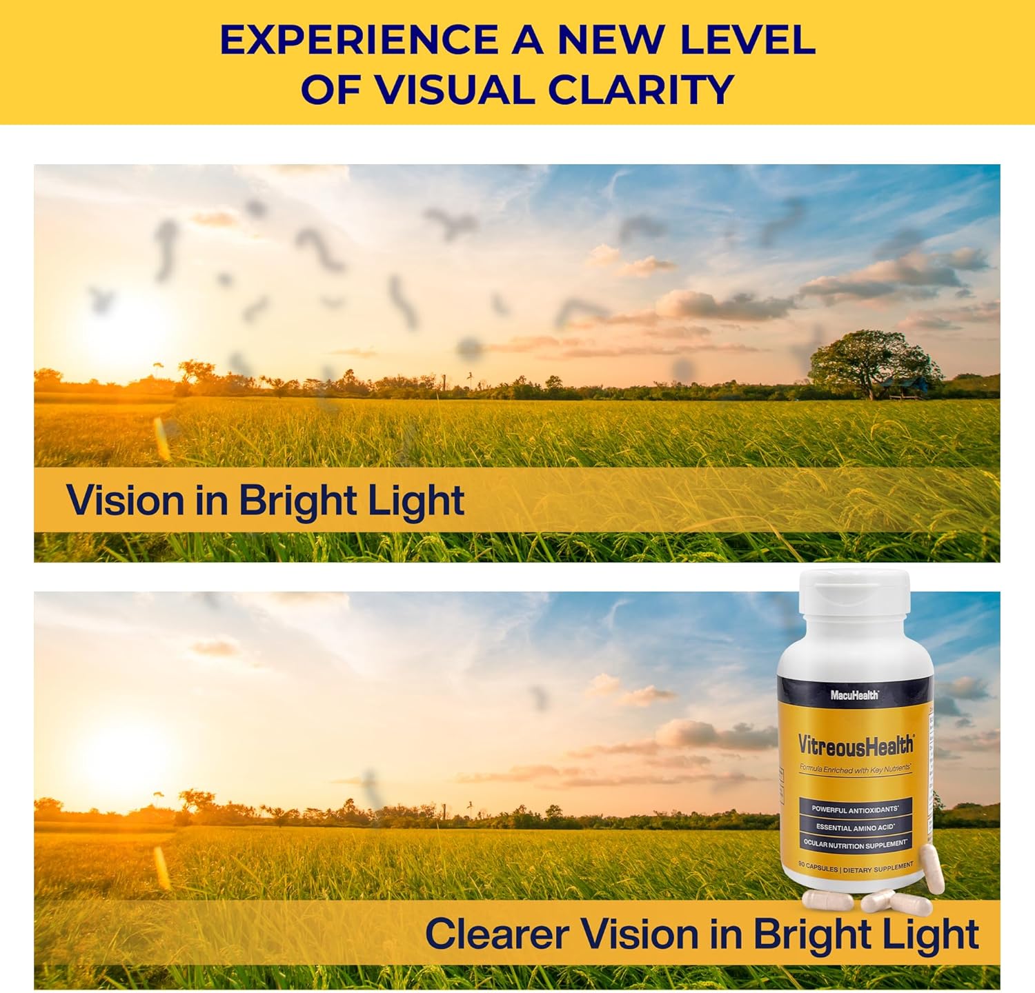 MacuHealth VitreousHealth Suplemento Ocular Basado en Evidencia – 90 Cápsulas