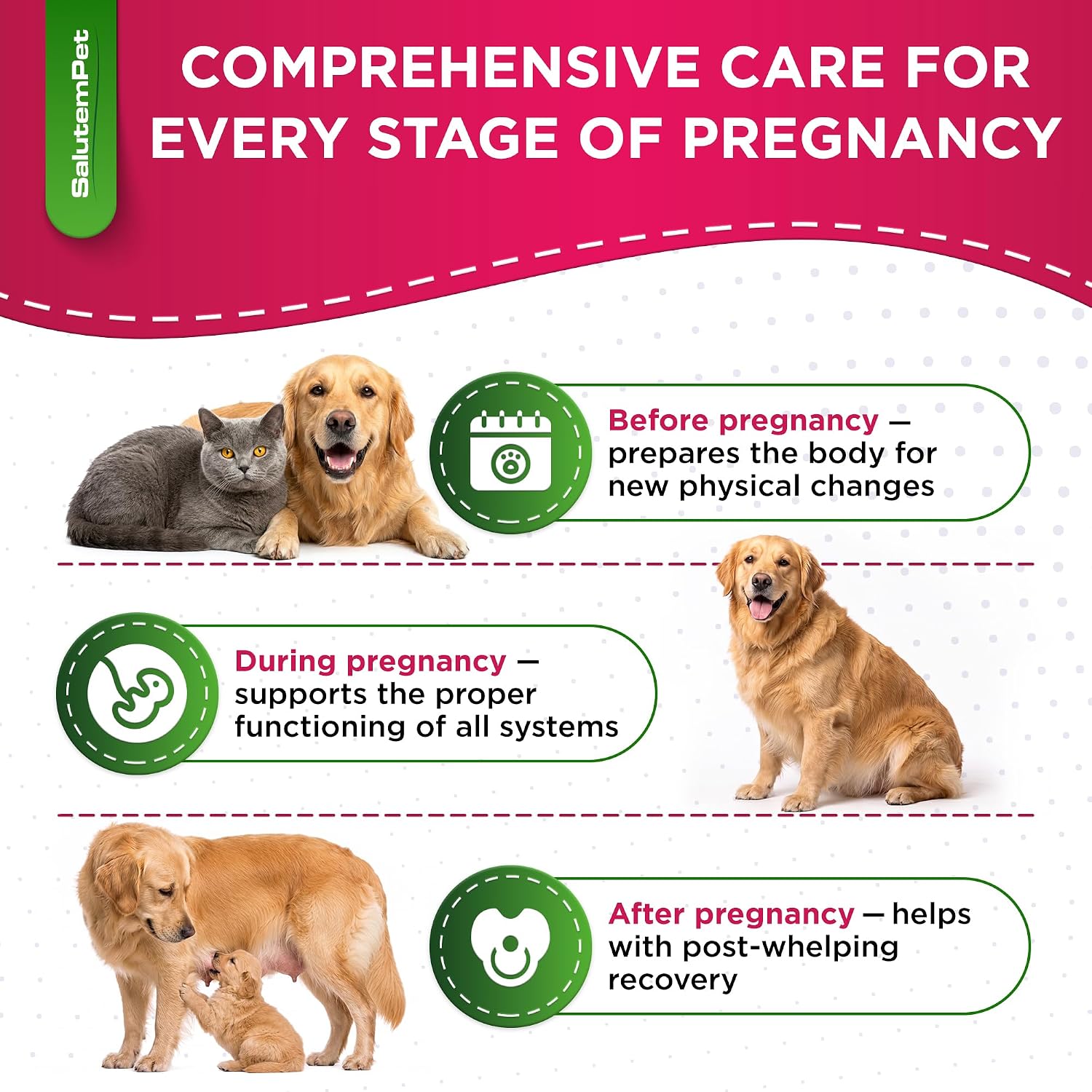 SalutemPet Vitaminas Prenatales para Perras y Gatas – Suplemento Multivitamínico Líquido – 60 ml