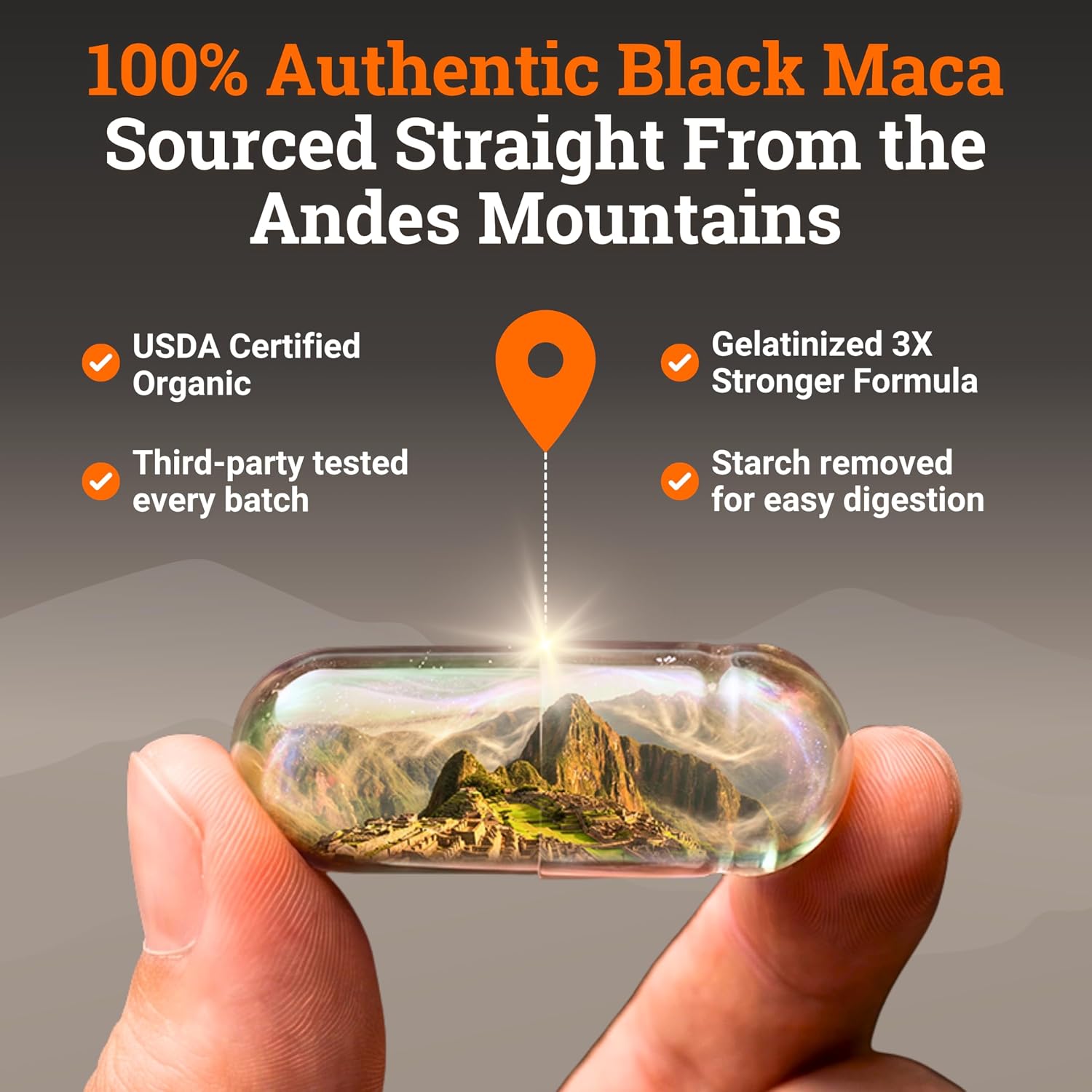Maca Negra Gelatinizada Ecológica - 200 Cápsulas, 1000mg