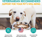 AminAmend Suplemento Muscular para Perros Grandes – CaHMB y Vitamina D3, 30 cápsulas
