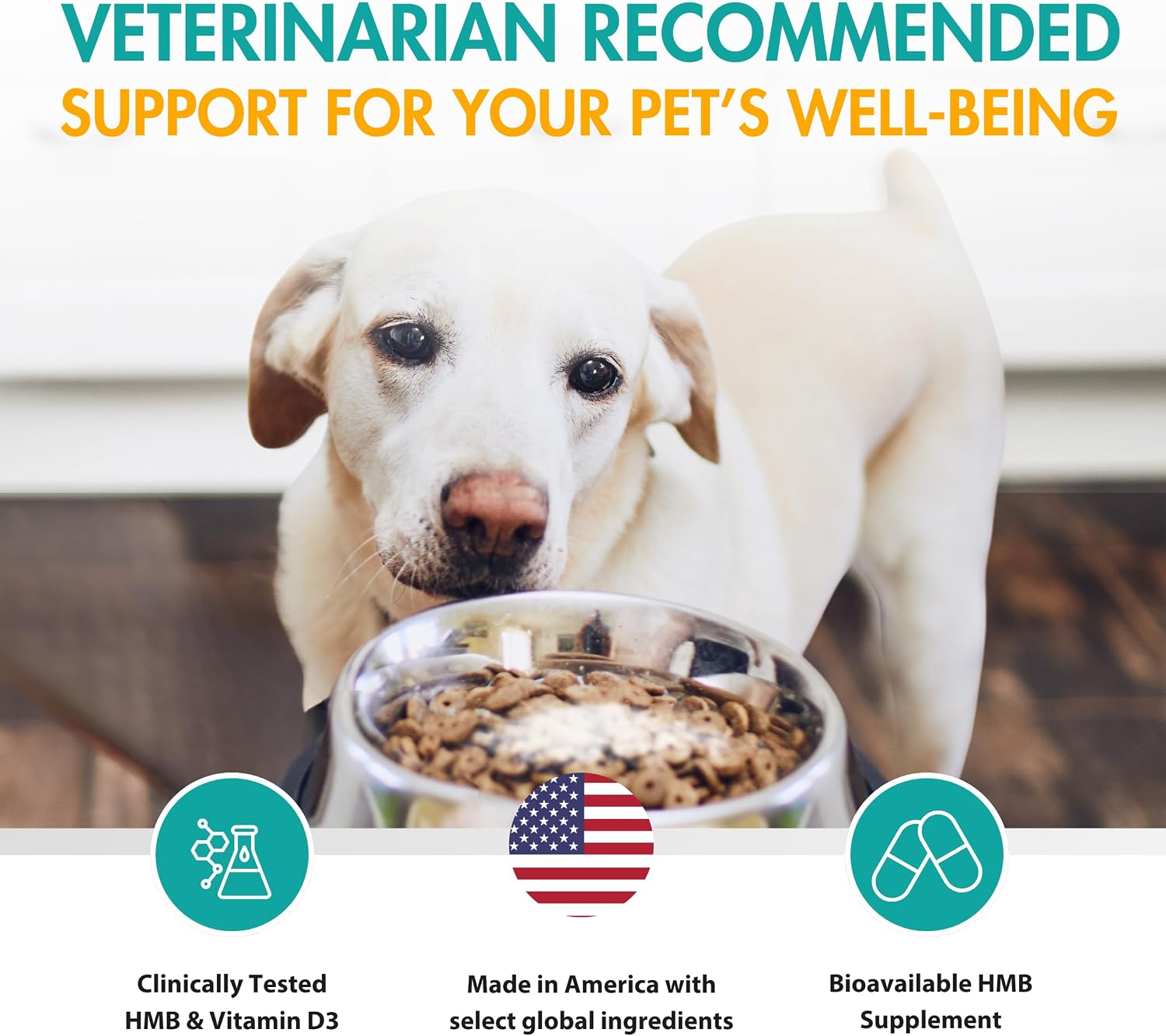 AminAmend Suplemento Muscular para Perros Grandes – CaHMB y Vitamina D3, 30 cápsulas