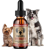 MycoDog Vitality - 20-in-1 Mushroom & Adaptogen Supplement for Dogs - Immune Health, Senior Dog, & Daily Wellness Support - Turkey Tail Mushroom for Dogs, Reishi, Chaga