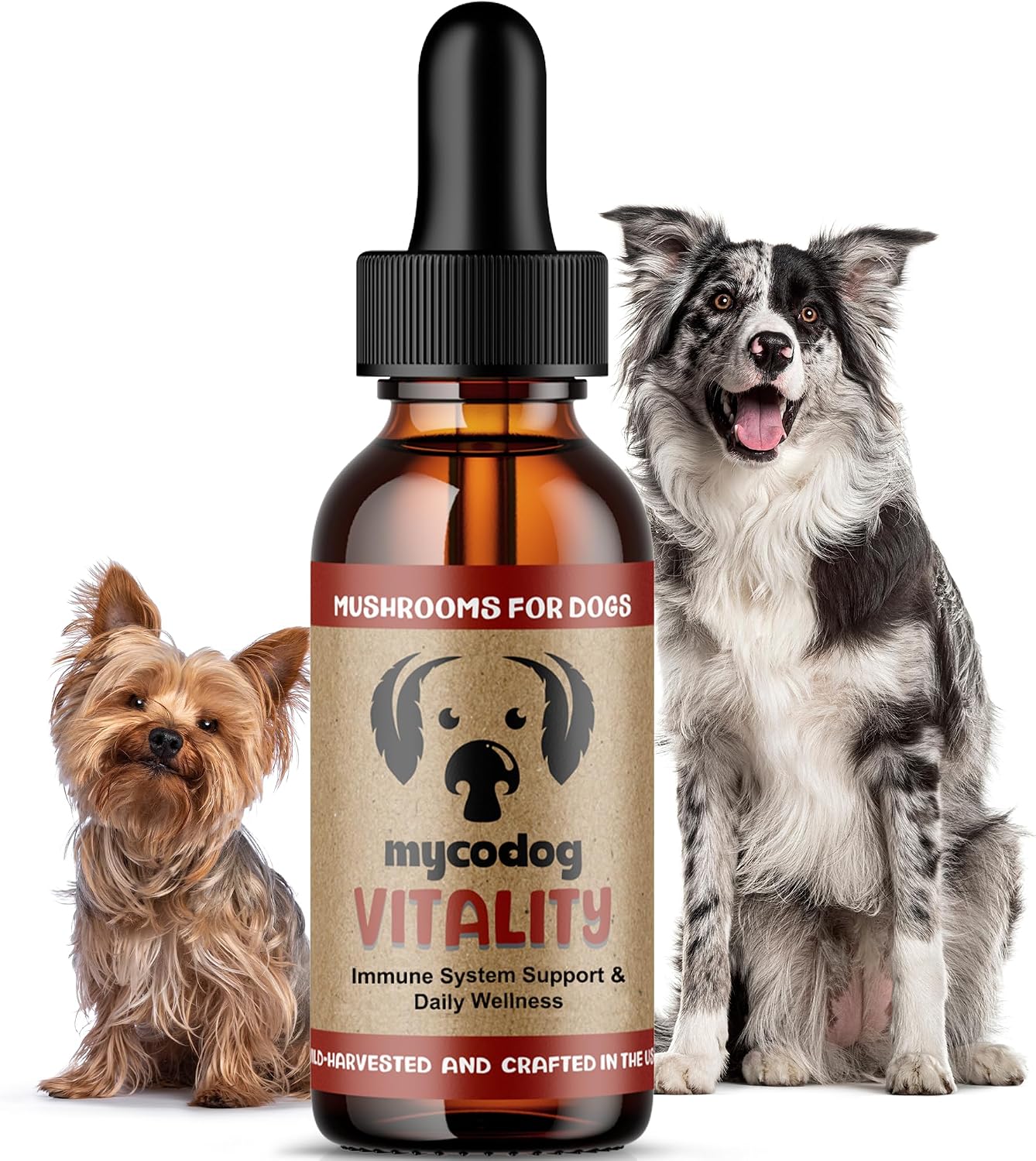 MycoDog Vitality - 20-in-1 Mushroom & Adaptogen Supplement for Dogs - Immune Health, Senior Dog, & Daily Wellness Support - Turkey Tail Mushroom for Dogs, Reishi, Chaga