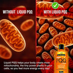 Super PQQ Liquid 20 mg