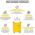 ATLANOVA True Liposomal Vitamina C 1000 mg - Cápsulas Veganas
