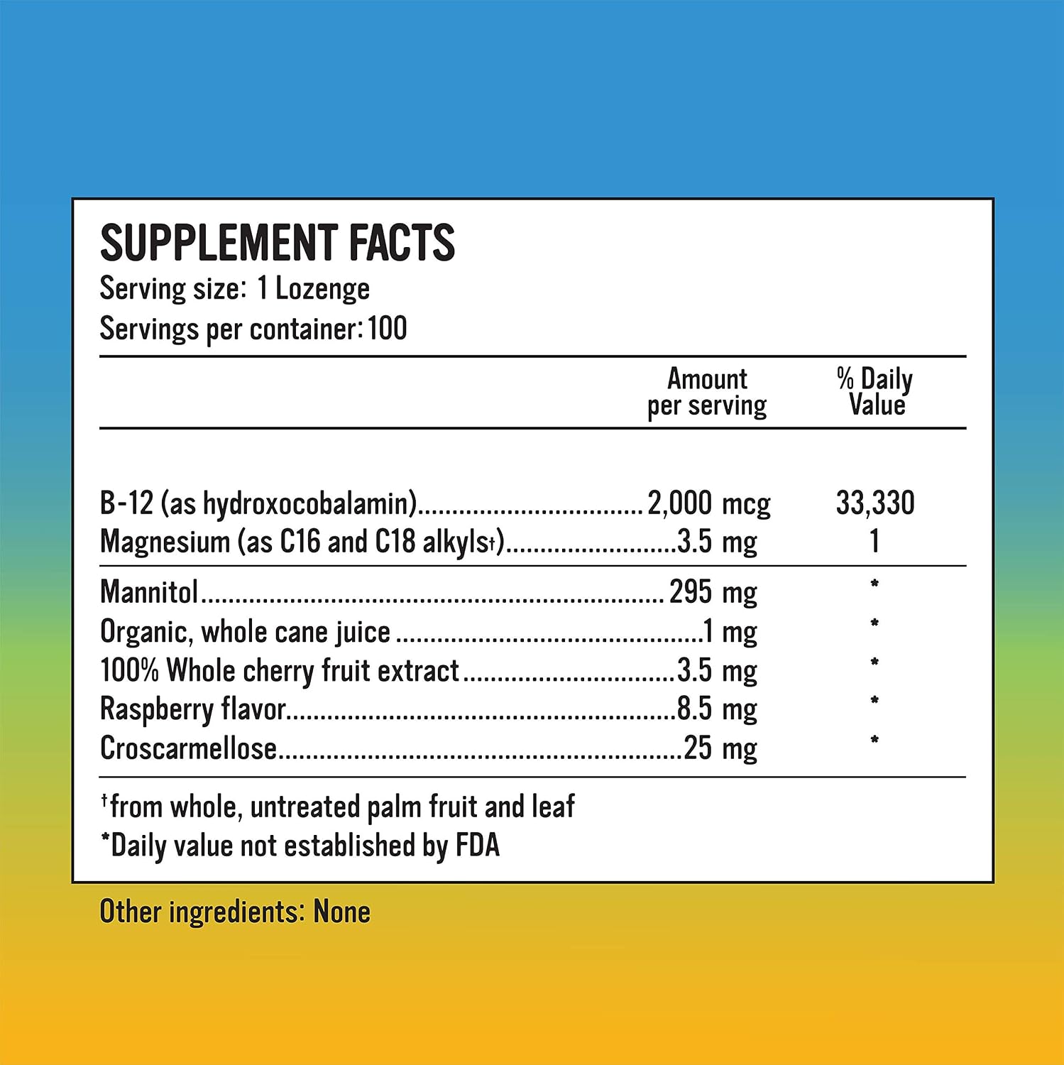 Alkaline for Life Rise Well Vitamina B12 2000 mcg Sublingual Vegano