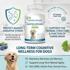 Nutrition Strength Apoyo Cognitivo para Perros – 120 Comprimidos Masticables para la Salud Cerebral y Mental