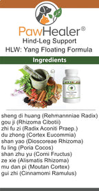PawHealer Hind Leg Weakness: Yang Floating - 100 g de Polvo Herbal para Perros