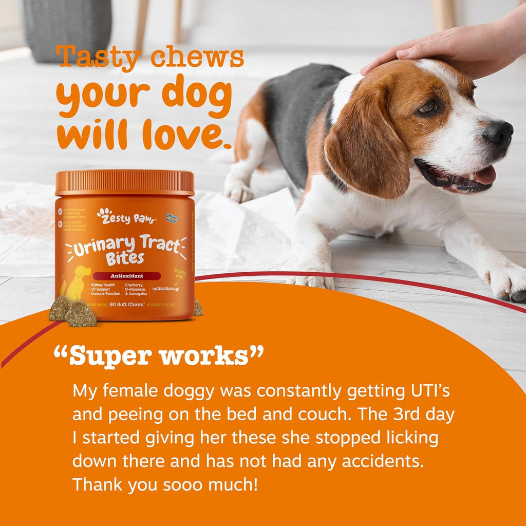 Zesty Paws Suplemento de Arándano para Perros - Control de Vejiga - Apoyo Urinario - Masticables de Arándano - Apoyo Inmune y Digestivo - Pollo - 90 Unidades