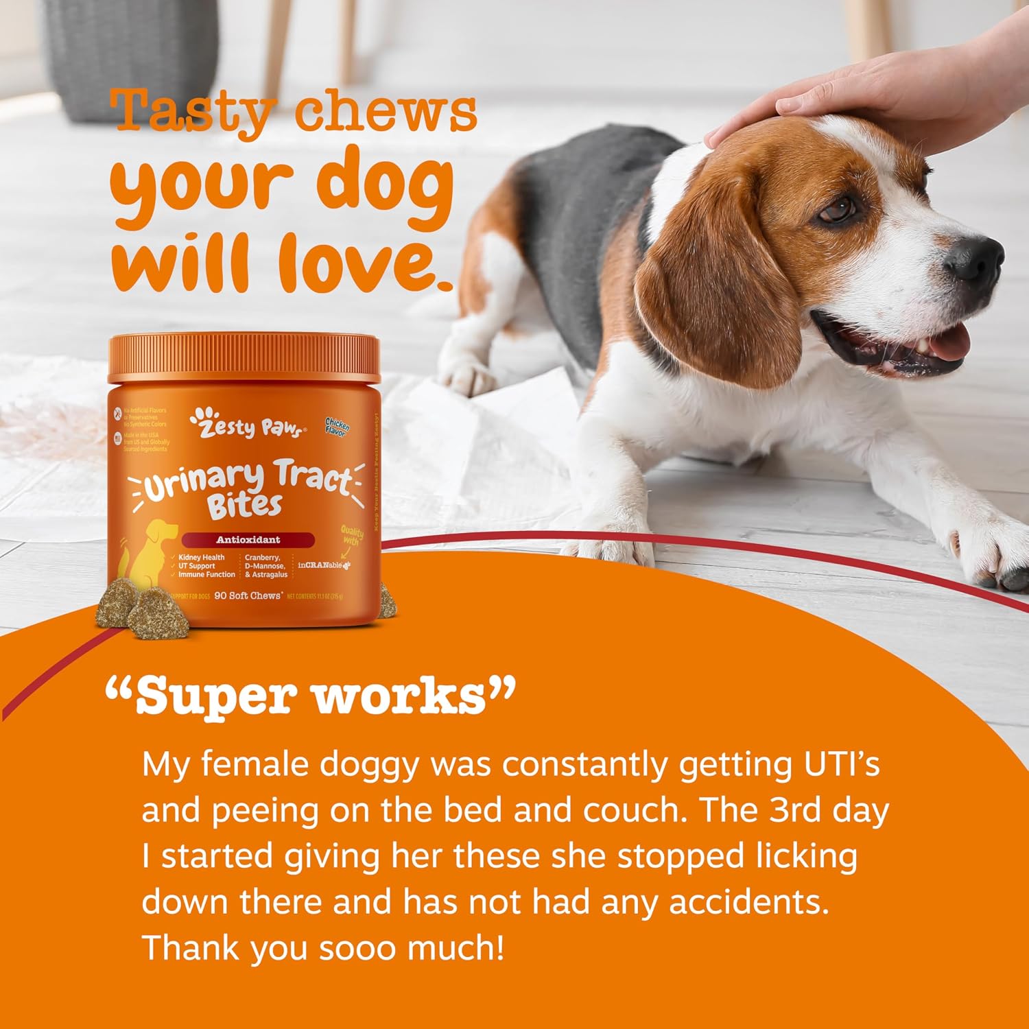 Zesty Paws Suplemento de Arándano para Perros - Control de Vejiga - Apoyo Urinario - Masticables de Arándano - Apoyo Inmune y Digestivo - Pollo - 90 Unidades