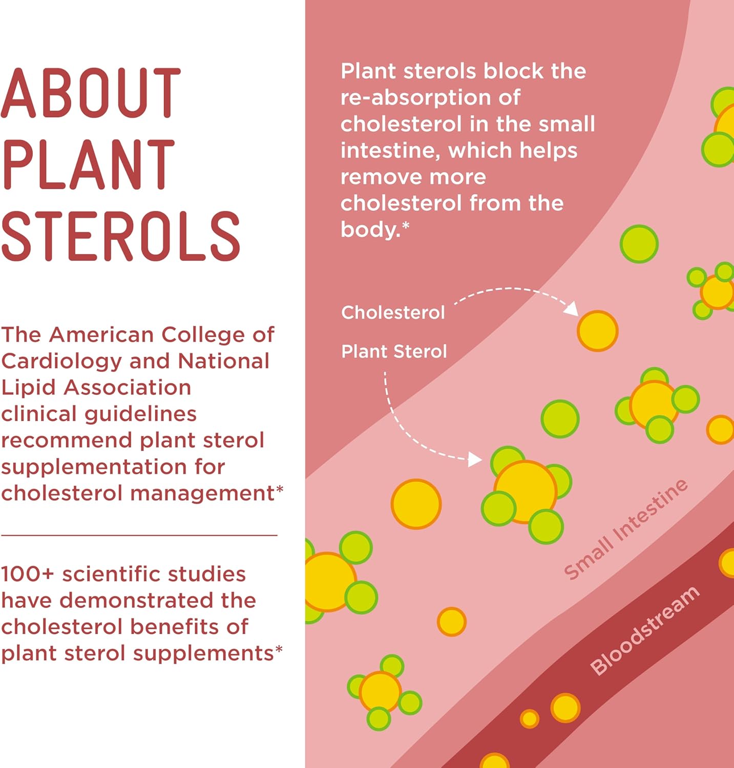 Piper Biosciences Gominolas de Esteroles Vegetales para el Colesterol (2 Cajas, 224 Gominolas)