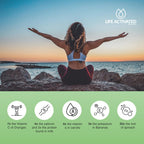 Mörvida Daily Supplement - Moringa Oleifera del Himalaya - 30 Sachets