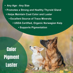 Dogzymes Alga Noruega Orgánica para Perros - 340 g