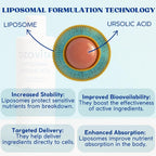 Ácido Ursólico Liposomal 300mg – Extracto de Hoja de Romero – Vegano y Orgánico