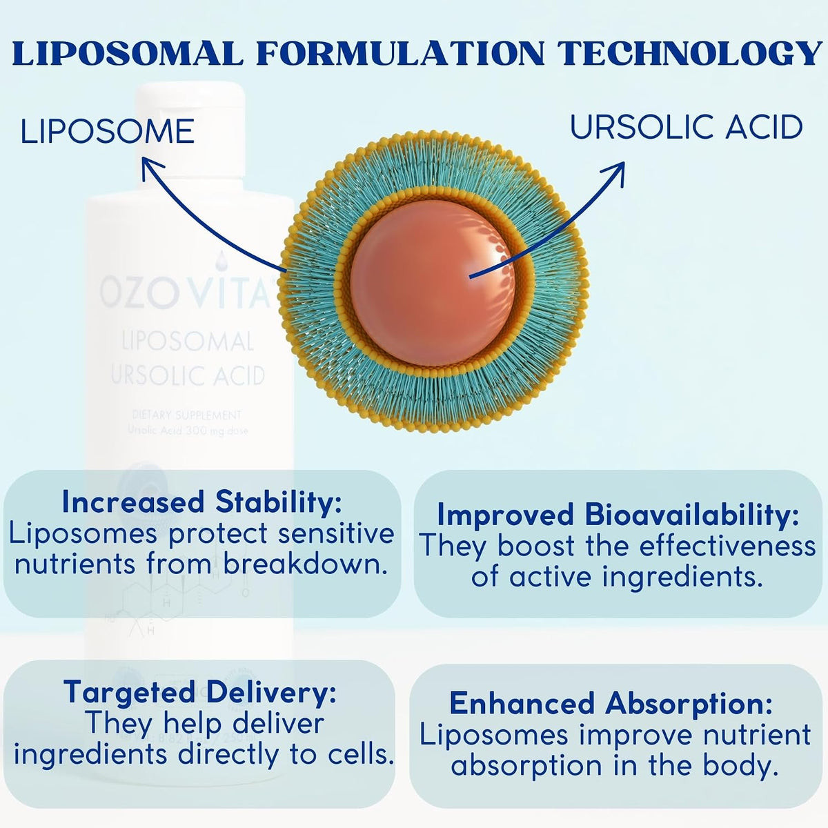 Ácido Ursólico Liposomal 300mg – Extracto de Hoja de Romero – Vegano y Orgánico - görsel 4