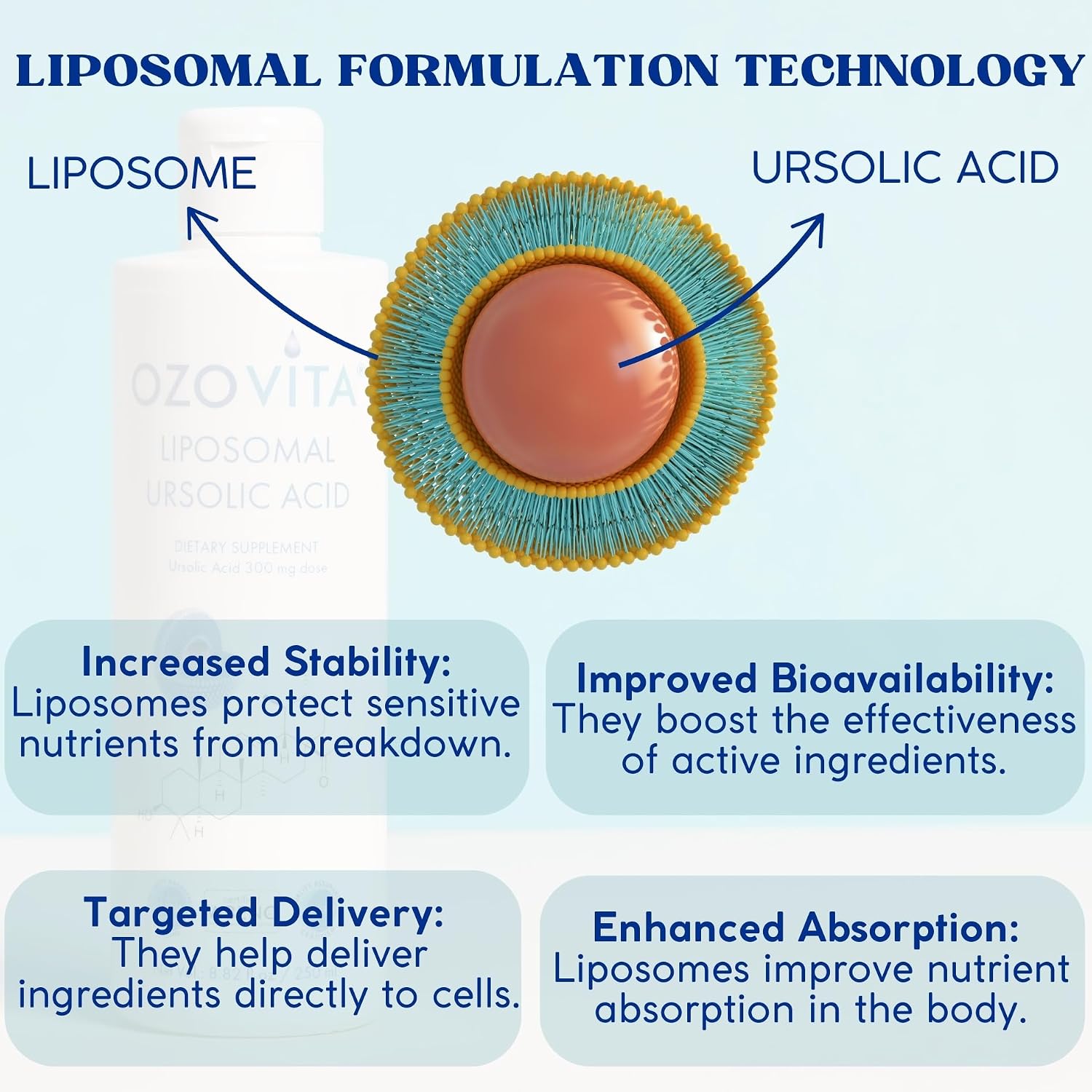 Ácido Ursólico Liposomal 300mg – Extracto de Hoja de Romero – Vegano y Orgánico