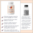 FullWell Fertility Booster - Apoyo a la Concepción para Hombres y Mujeres - Favorece la Calidad del Óvulo y el Esperma - Salud Reproductiva - CoQ10, Ashwagandha, NAC y ALA - 60 Cápsulas, Paquete de 2 (60 porciones)