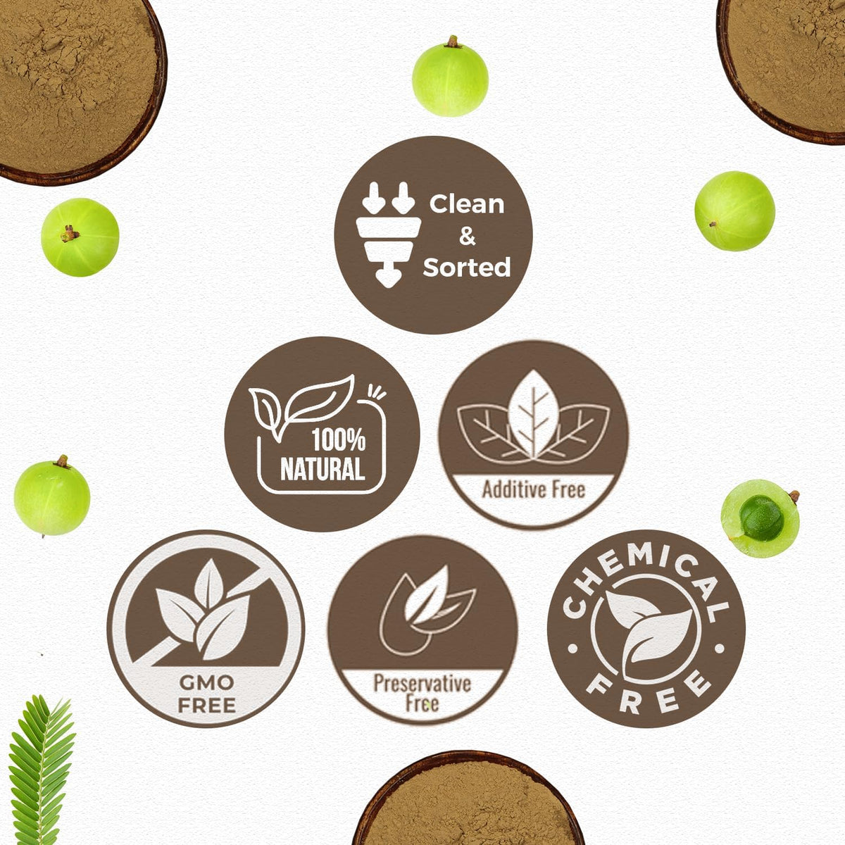 CARMEL ORGANICS Amla/Amlaki Fruit Powder (226 g) – Image 4
