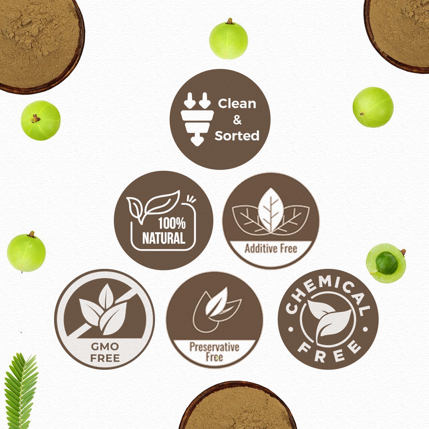 CARMEL ORGANICS Amla/Amlaki Fruit Powder (226 g)