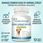 Nutrition Strength Adrenal Support for Dogs - Suplemento Adrenal para Perros, 120 Comprimidos Masticables