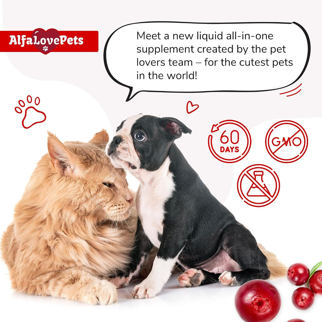 Multivitamínico Líquido para Perros y Gatos - 10 en 1 con Vitaminas B, C, D3, Glucosamina y Arándano - Sabor Arándano - 2 oz