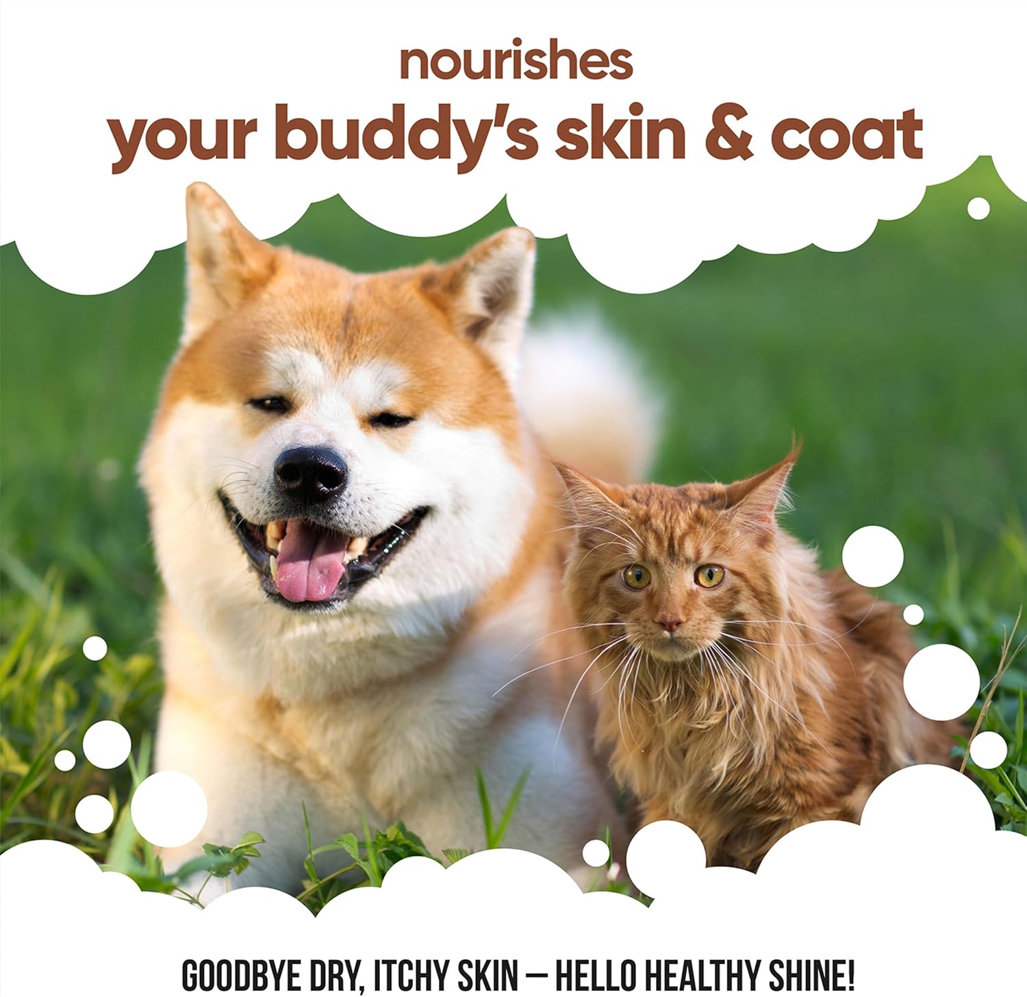 Buddycare Aceite de Linaza - 500 ml - Suplemento Natural para Perros y Gatos - Rico en Ácidos Grasos Omega-3 para un Pelaje y Piel Saludables