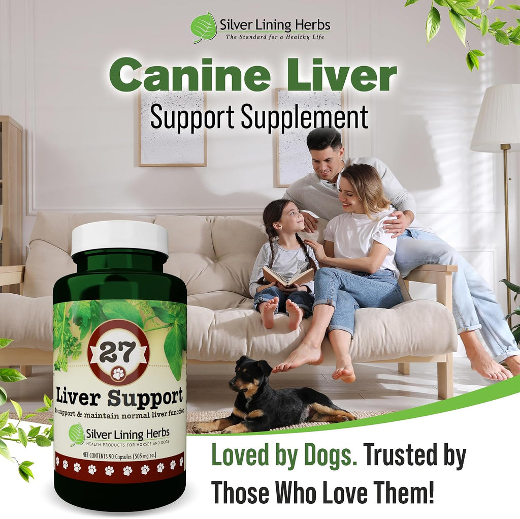 Silver Lining Herbs - Liver Support for Dogs - All Natural Herbal Supplement with Milk Thistle, Turmeric, Chamomile and More - 90 Capsules