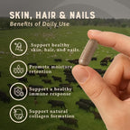 Heart & Soil – Suplemento de biotina y órganos de vaca para cabello, piel y uñas – 180 cápsulas