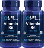 Life Extension Vitamina B6, 100 mg, Alta Potencia, Salud Cardiovascular, Neurológica y Ocular, Sin Gluten, No Transgénico, Vegano, 90 Cápsulas