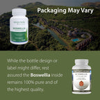 Boswellia Serrata CO2 Extract 500 mg - 240 Cápsulas Veganas (2 Pack)