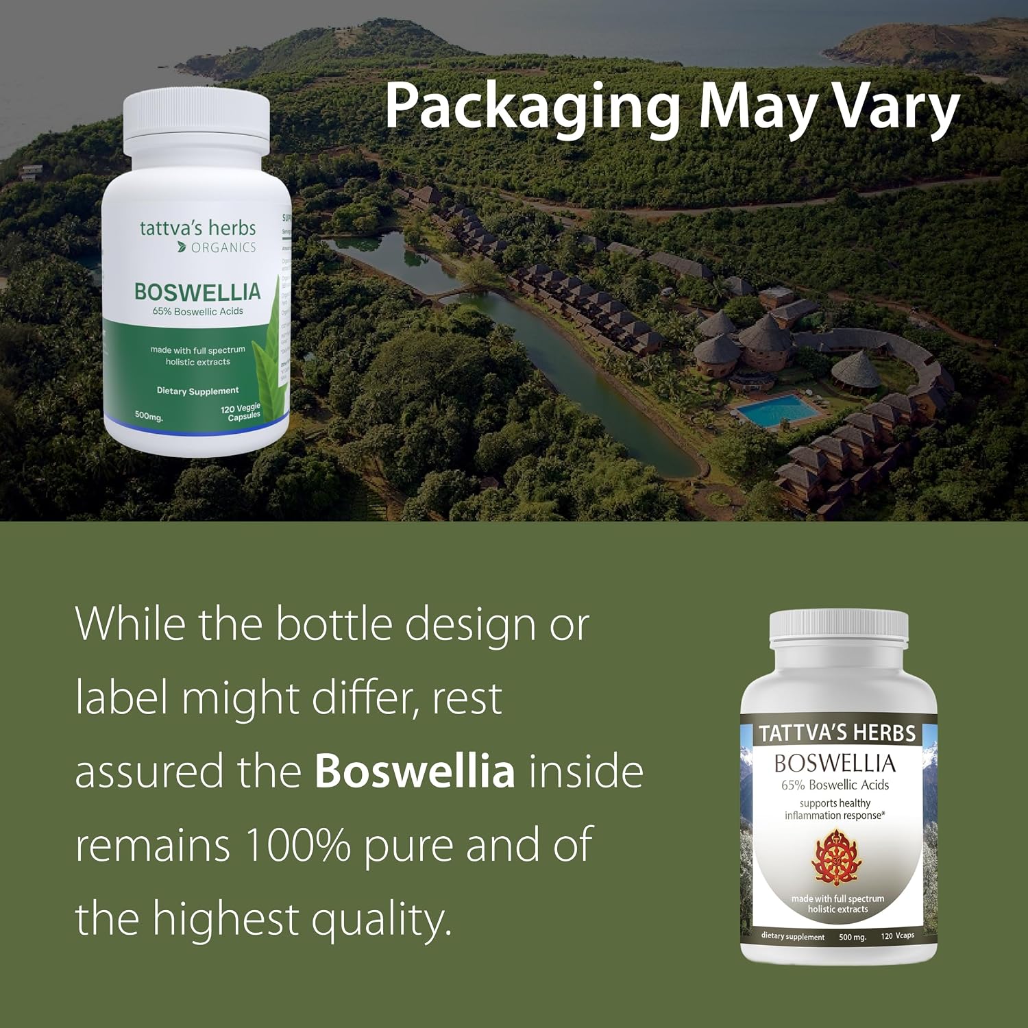 Boswellia Serrata CO2 Extract 500 mg - 240 Cápsulas Veganas (2 Pack)
