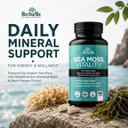 HerbaMe Musgo de Mar Orgánico con Bladderwrack, Bardana y Pimienta Negra - 150 Cápsulas Vegetales