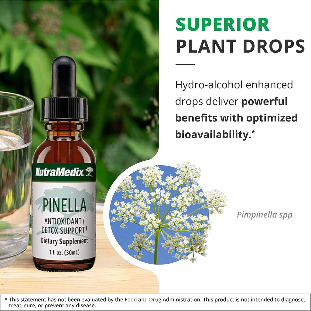 NutraMedix Pinella - Gotas de Extracto de Anís (Pimpinella anisum) - 30 ml