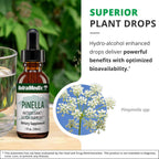 NutraMedix Pinella - Gotas de Extracto de Anís (Pimpinella anisum) - 30 ml