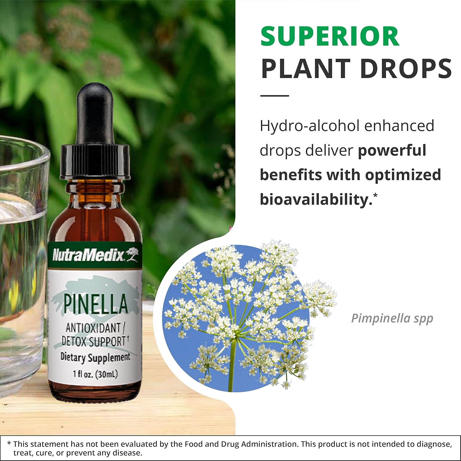 NutraMedix Pinella - Gotas de Extracto de Anís (Pimpinella anisum) - 30 ml