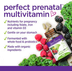 New Chapter Organic Perfect Prenatal, 192 tabletas