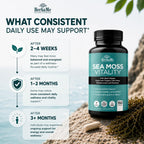 HerbaMe Musgo de Mar Orgánico con Bladderwrack, Bardana y Pimienta Negra - 150 Cápsulas Vegetales